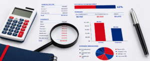 Auditing and Assurance Services in UAE